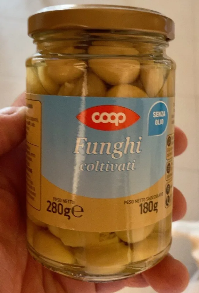 Funghi coltivati