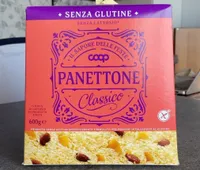 Panettone Classico senza glutine