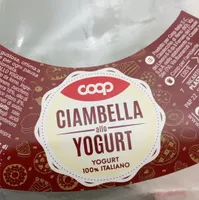 Ciambella allo yogurt