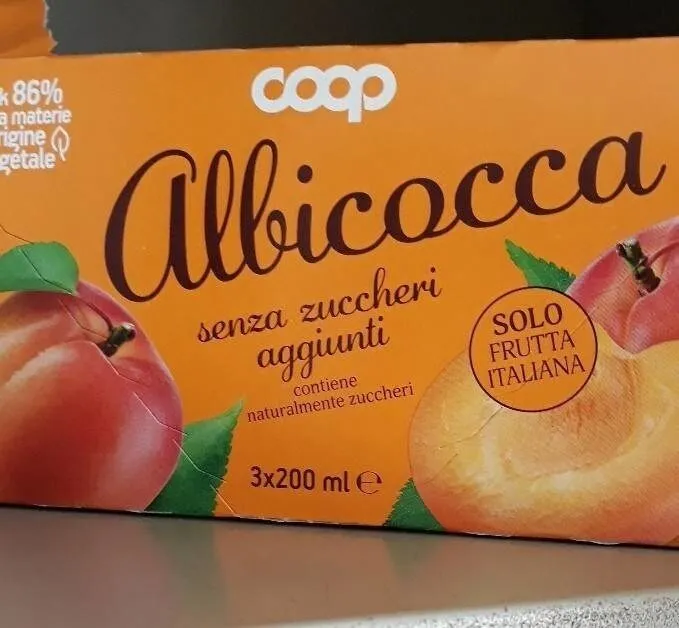 Succo di frutta
