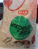 Nocciole in guscio