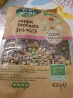 Zuppa fantasia biologica