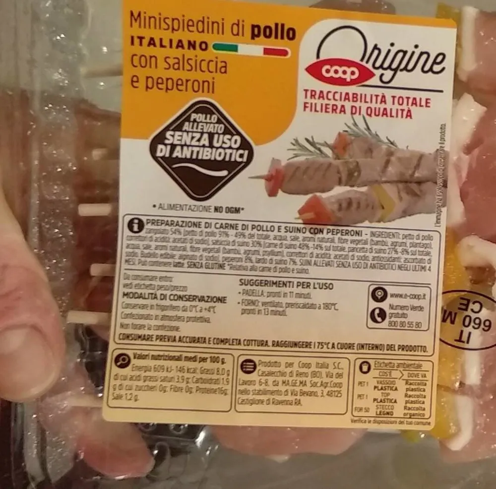 Minispiedini di polloq