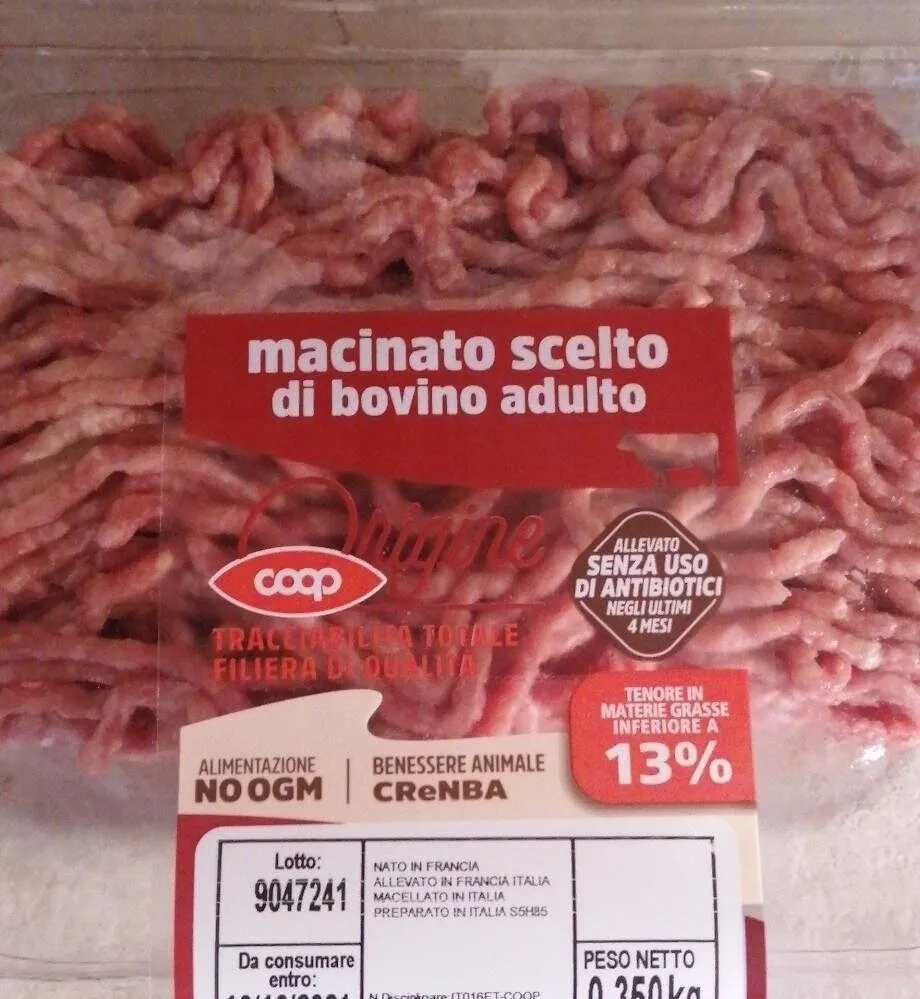 Macinato scelto di bovino adulto