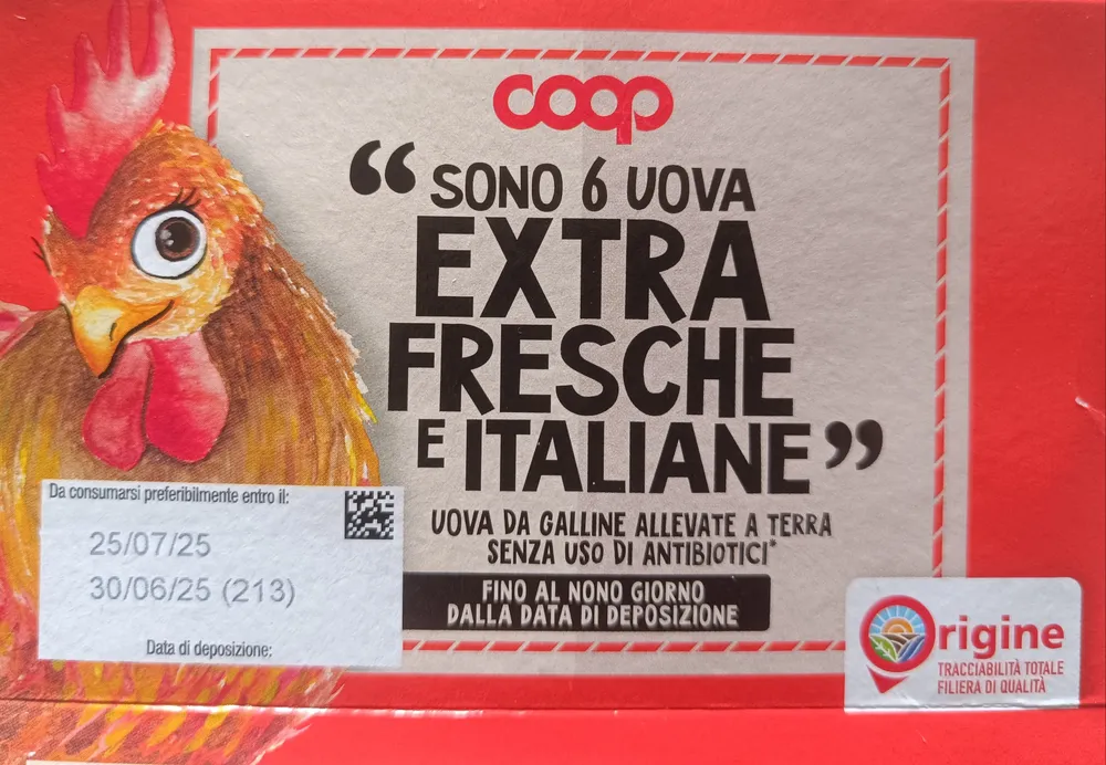 6 uova grandi extra fresche
