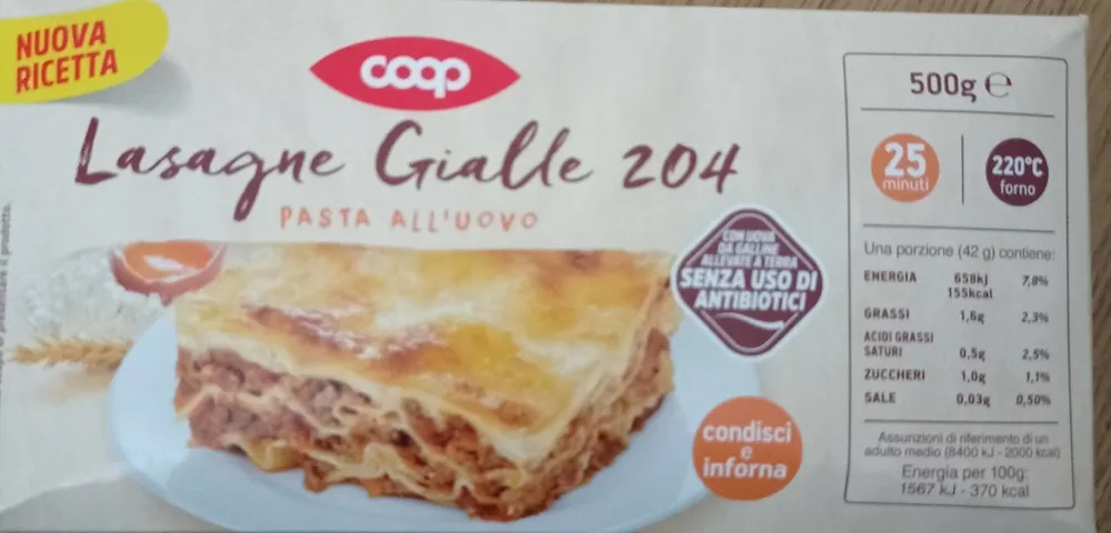 Lasagne gialle 204 pasta all'uovo