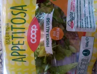 Insalata Mista Appetitosa