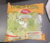 Cuori di iceberg