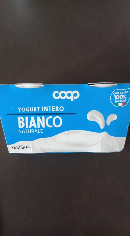 Yogurt intero bianco