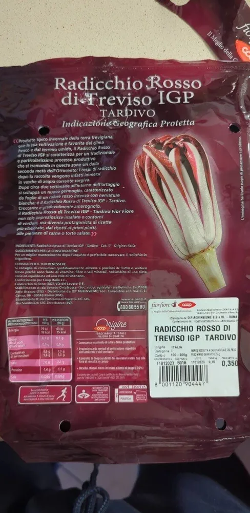 Radicchio Rosso di Treviso IGP