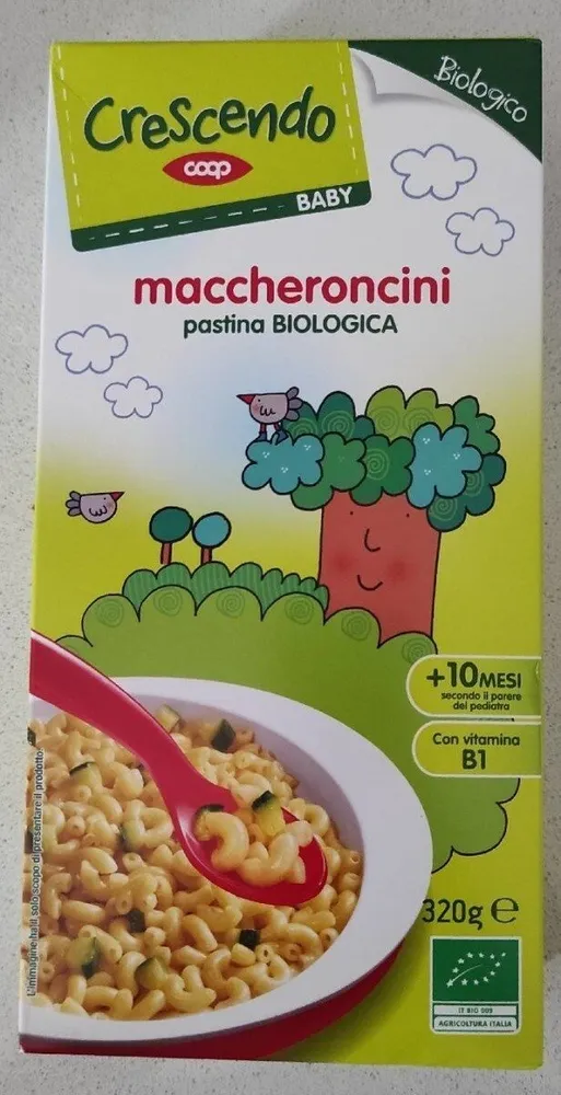 Maccheroncini