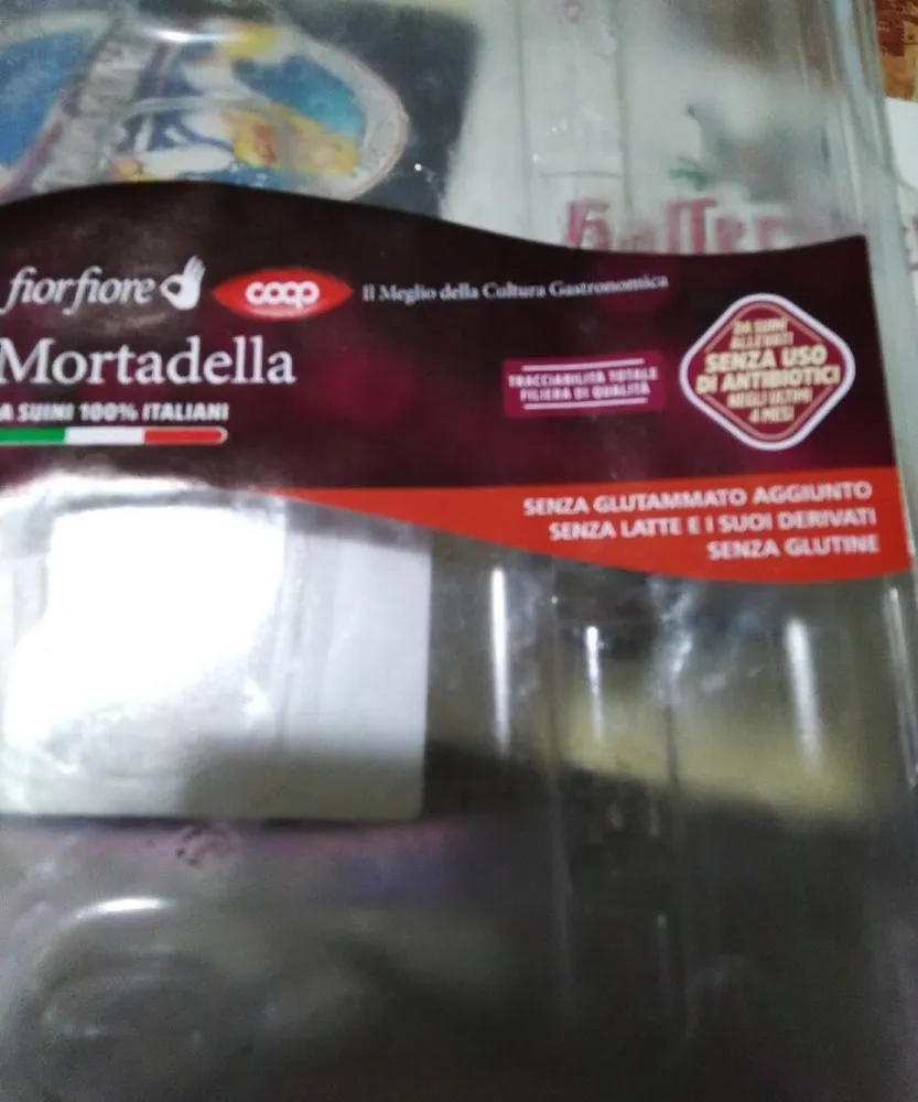 Mortadella da suini italiani