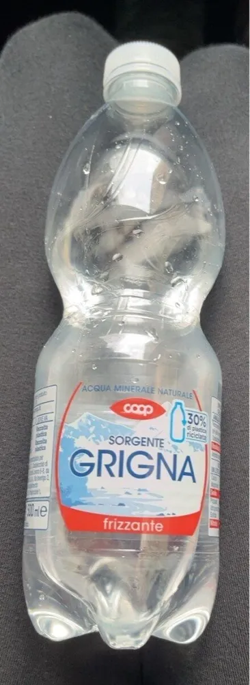 acqua sorgente grigna