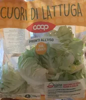 cuori di lattuga