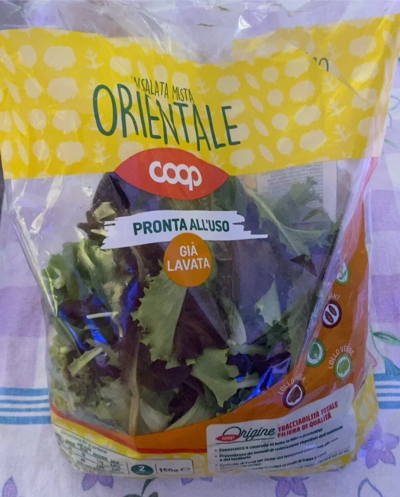Insalata mista orientale