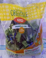 Insalata mista orientale