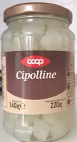 Cipolline