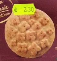 Frollini