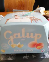 Panettone Paradiso
