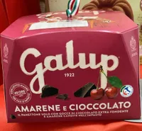 Panettone Amarene E Cioccolato