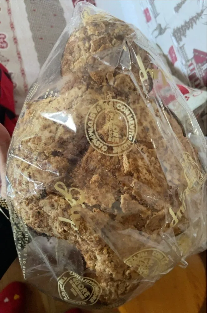 Galup colomba