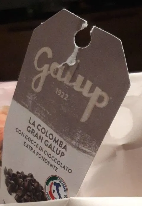 La colomba Gran Galup