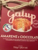 Panettone Amarena e cioccolato