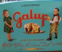 Il panettone Gran Galup