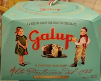 Il panettone grand Galup