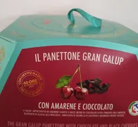 Panettone Amarene e cioccolato