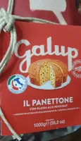 Panettone galup
