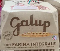 Panettone pesca, cioccolato e amaretto