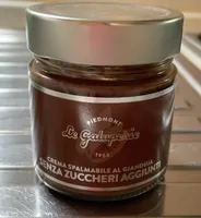 Crema spalmabile al gianduia