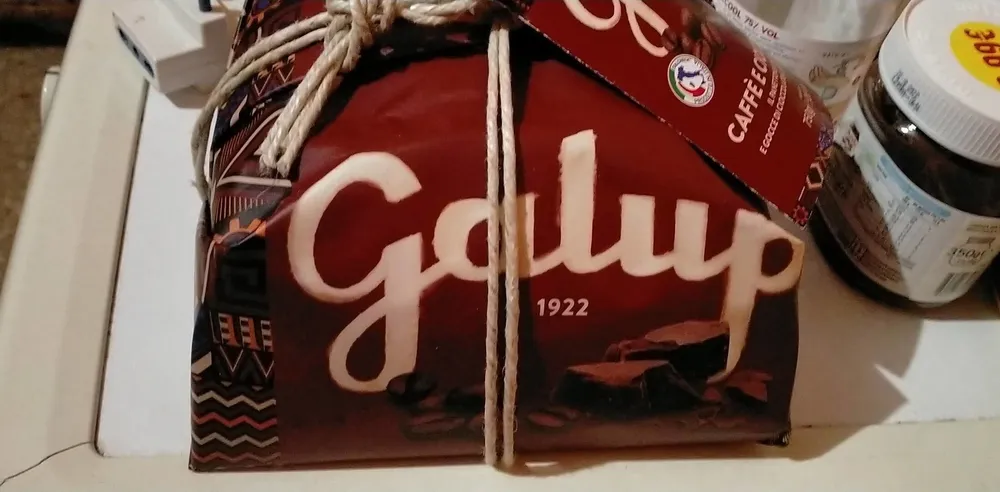Panettone caffè e cioccolato