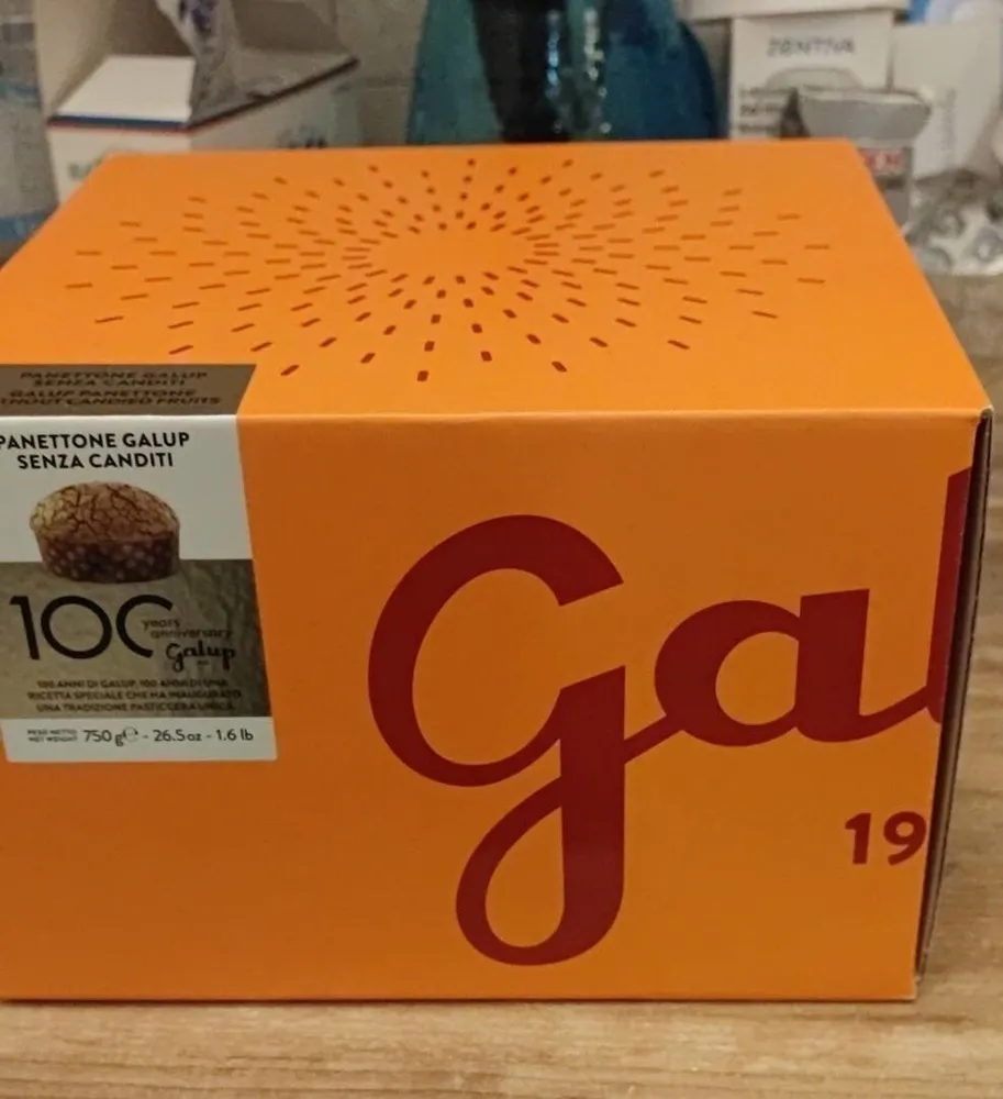 Panettone galup senza canditi