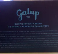 Panettone galup milano