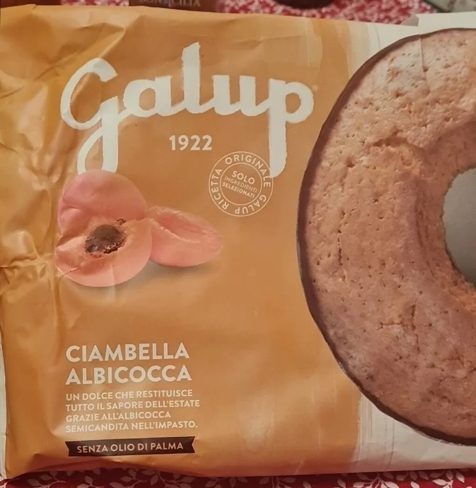 Ciambella albicocca