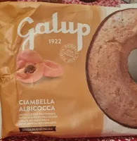 Ciambella albicocca