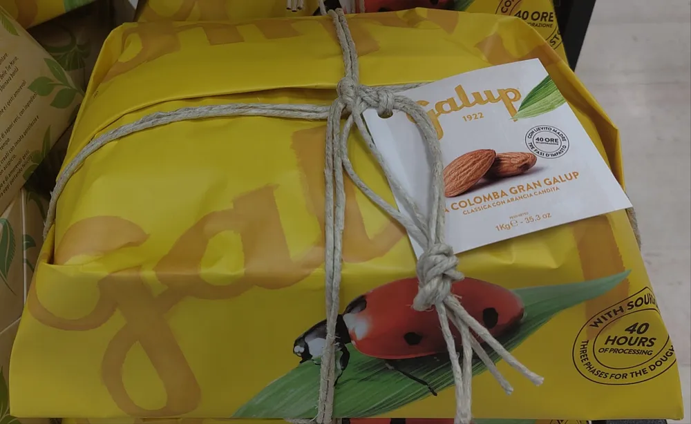 La colomba gran Galup