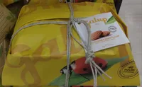 La colomba gran Galup