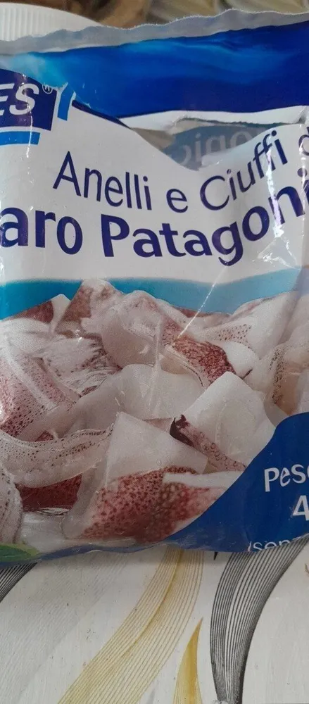 Anellini ciuffi di calamaro patagonico