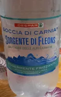 Acqua minerale leggermente frizzante sorgente di fleons