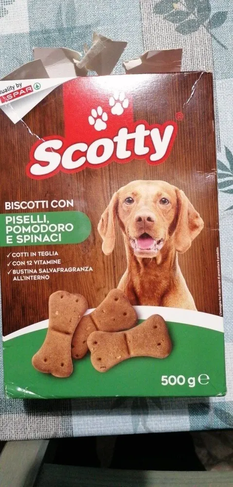 Scotty