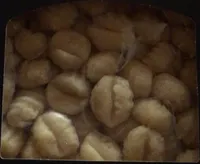 Gnocchi di patate rigati