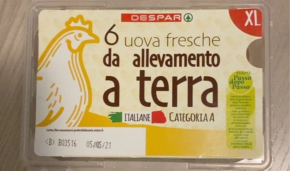 Uova fresche da allevamento a terra XL