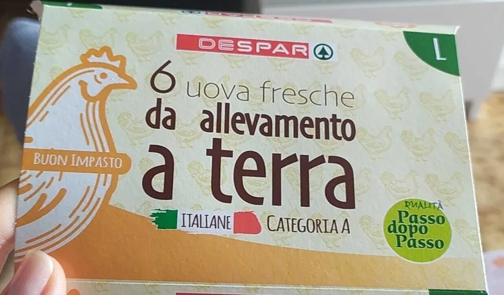 Uova