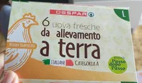 Uova