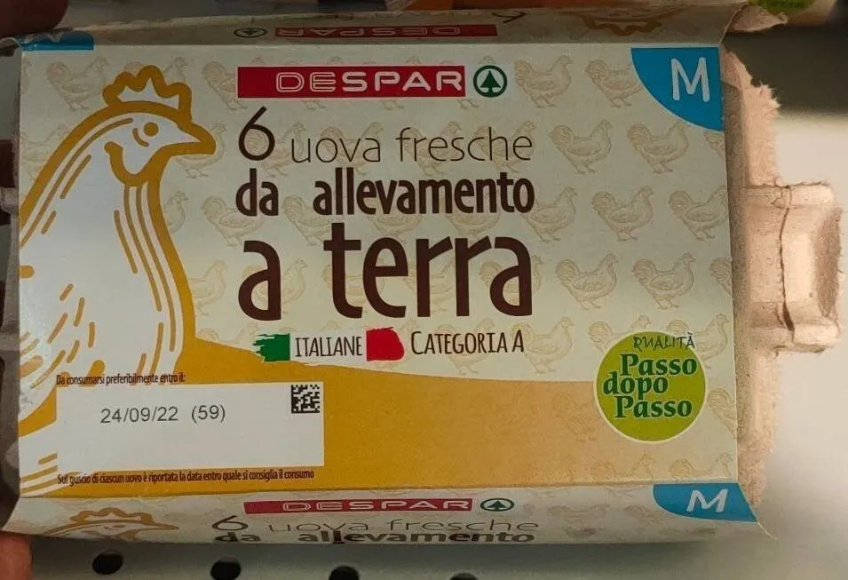 Uova fresche da allevamento a terra