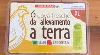 6 uova fresche da allevamento a terra XL