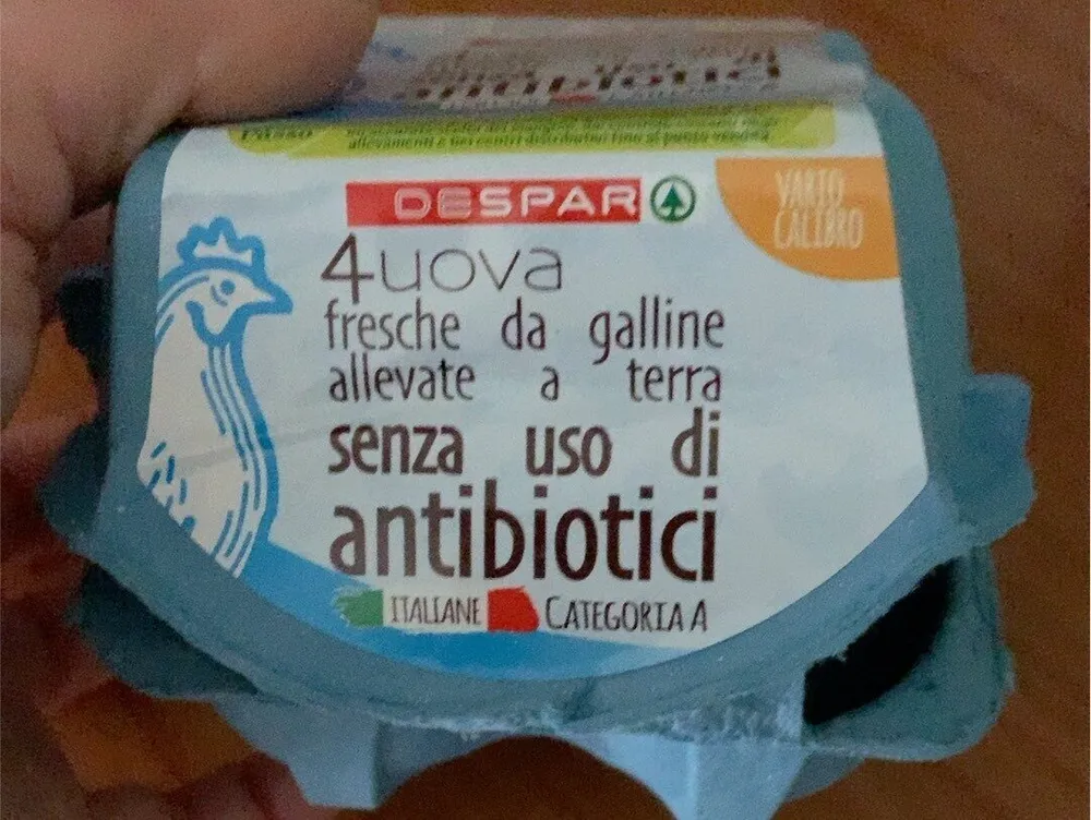 Uova